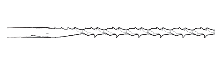 SPFE - Spiral Flat End